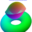 031_Torus_Snail_Surface